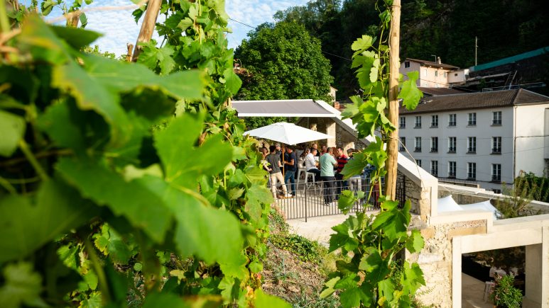 Les Terrasses depuis les vignes