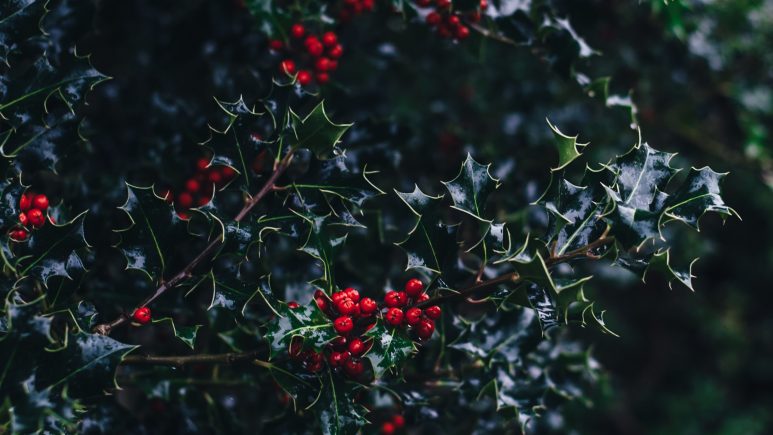The Jazz à Vienne advent calendar is back!