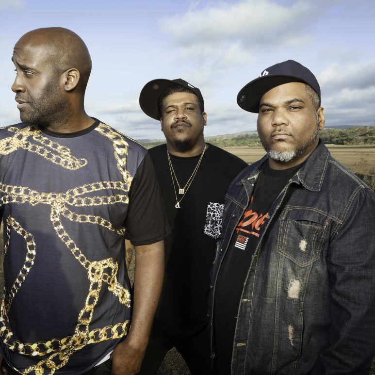 DE LA SOUL Live Band
Hip-Hop Symphonique