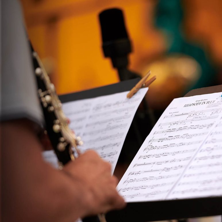 Big Band de Vienne