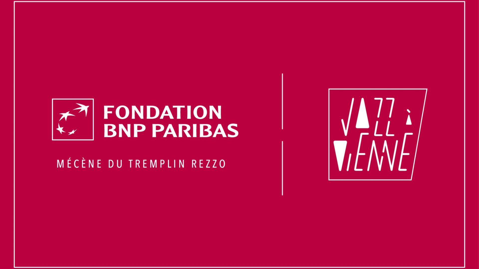 Logo JAV x BNP-min.jpg